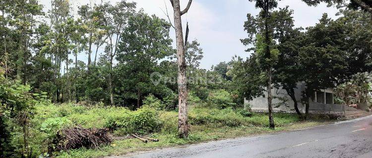 Tanah murah cocok untuk gudang di Miri Sragen  1