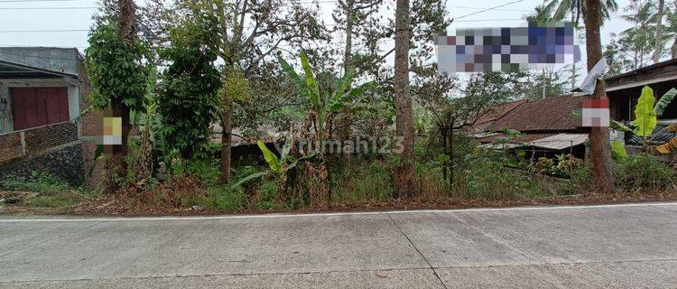 Tanah area komersial pinggir Semarang cocok untuk gudang atau usaha dekat pintu tol dekat kawasan industri dijual di Jl Raya Tuntang Bawen Kab Semarang 1