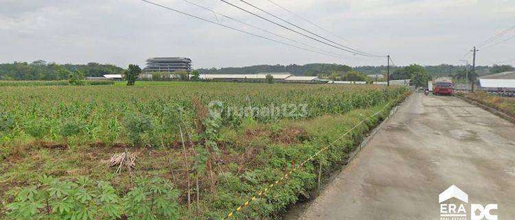 Tanah Strategis Pinggir Semarang Bisa Untuk Industri Gudang Dekat Kawasan Industri Akses Kontainer Dijual Di Boja Kendal Kab Semarang 1