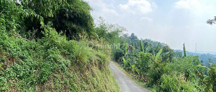 Dijual tanah murah cijeruk tajur halang produktif 1