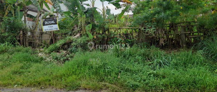 Tanah Kavling Jalan Semar Cilegon Shm Masih Nego 1