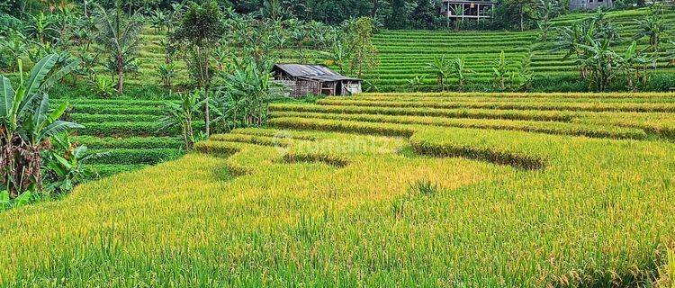 Dijual Rumah di Pacet Mojokerto 1