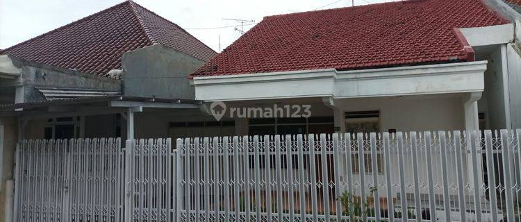 Disewakan Rumah Darmo Permai Selatan  1