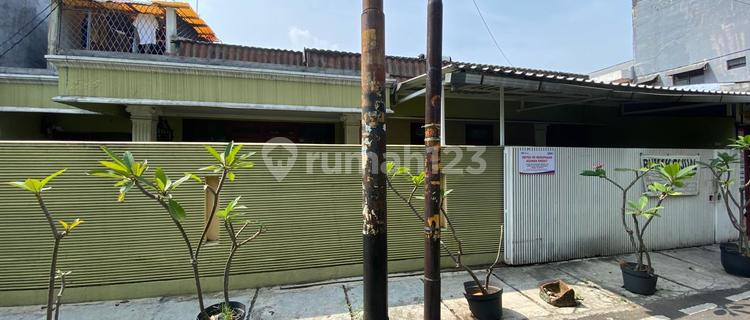 Dream East White Champaca House Definitely Cheap 1