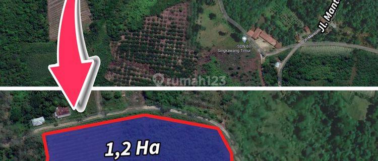Tanah Luas 27.373 m² di Jl. Mantoman, Singkawang  1