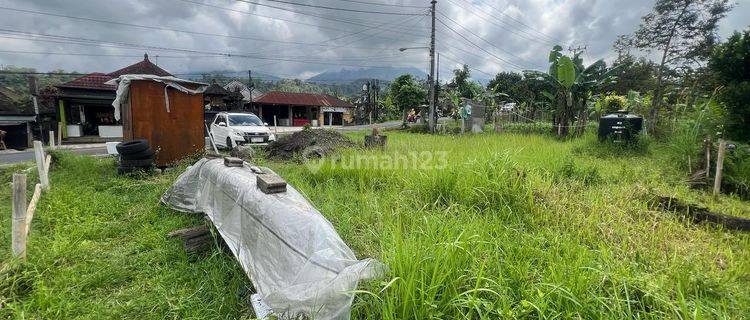 Land for Rent in Baturiti near Bedugul. 300m from House Of Tundra Cafe 5 minutes from Lake Beratan 1