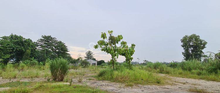 Sewa Lahan Utk Pool Atau Workshop.bisa Per Bulan Cileungsi Bogor Kuas 2,2ha 1