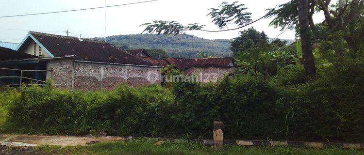 Dijual tanah di tamtama raya, raya weleri sukorejo kendal  1