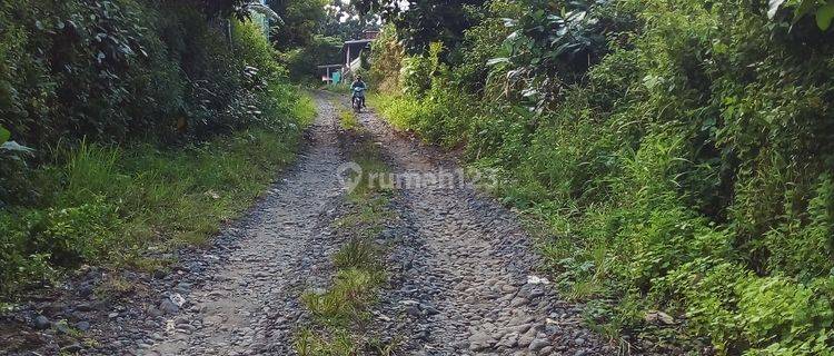 Dijual tanah di sidomukti weleri kendal bisa buat perumahan  1