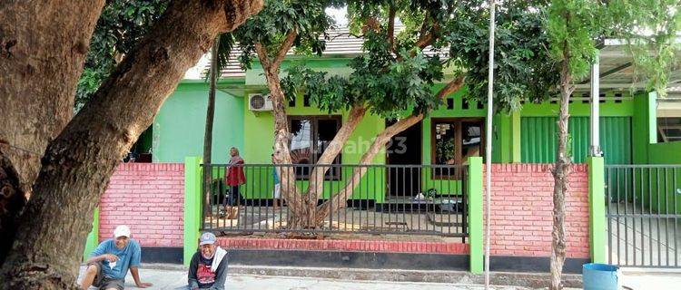 Dijual rumah di pasadena  1