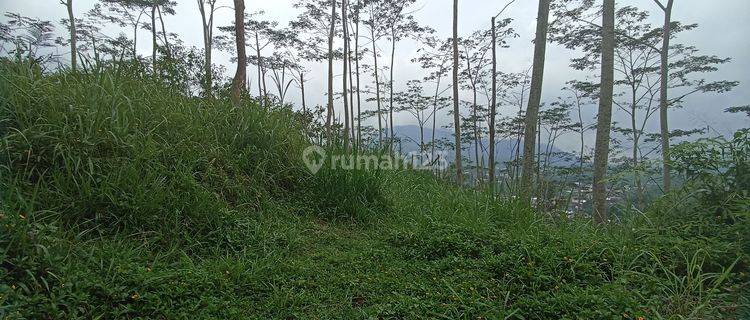 Di jual tanah bukit dapat view cantik di karangkobar banjarnegara  1