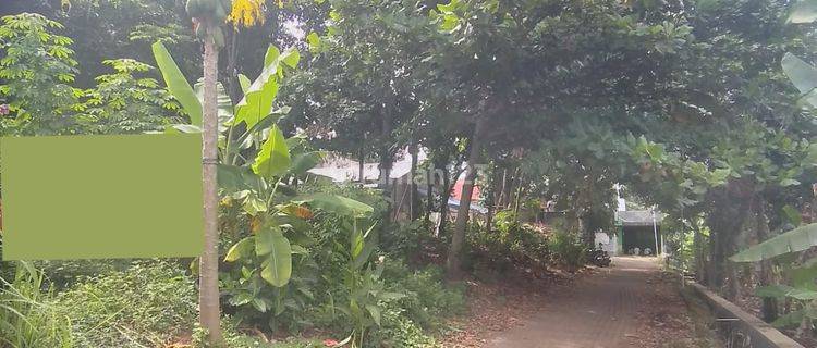 di jual tanah di bukit sari deket tembalang Undip  1