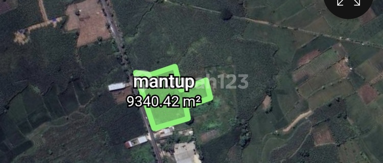 Tanah Di Lamongan Raya Mantup di Gapura Dusun Tugulor, Jl. Raya Mantup, Dumpiagung, Kembangbahu, Lamongan, Jawa Timur, Indonesia, 62282, Lamongan Tanah 1
