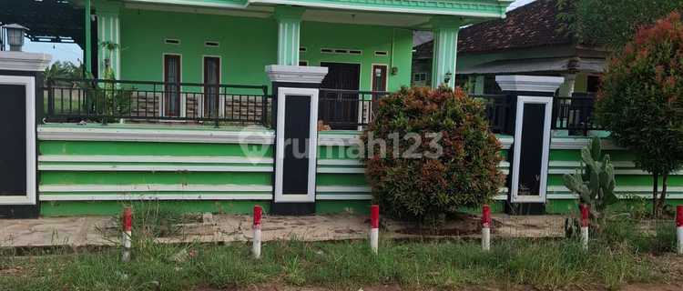 For Sale Quick 1-Story House Unfurnished Gunung Sugih Central Lampung Near Pt.manuppak Abadi 1