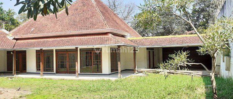 Disewakan Rumah Luas 800m2 Lokasi Dekat Jl Ijen, Malang 1