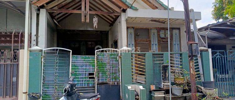 Murah Rumah 1,5 Lantai Kupang Jaya dekat Sukomanunggal Surabaya 1