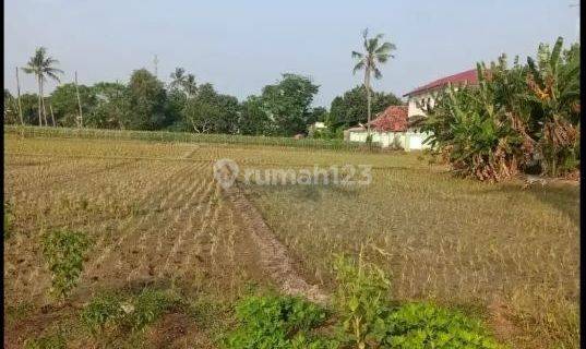 Dijual Murah Tanah Sawah 36 Hektar  Lokasi Strategis Di Sukatan 1