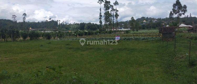 Tanah Dijual Dekat Wisata Paralayang Pujon Batu Gmk01849 1