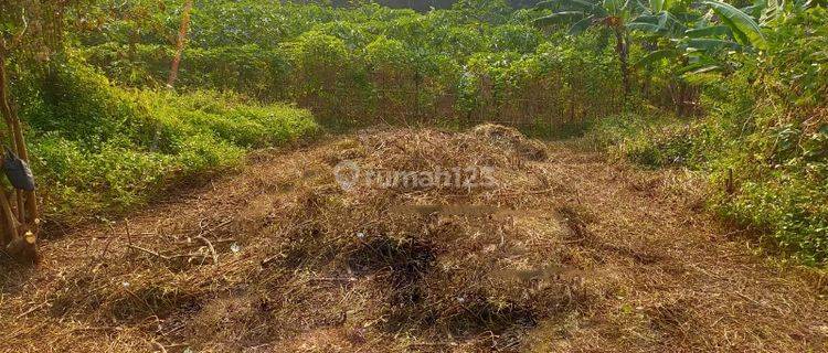 Tanah Kavling Strategis di Kedungkandang Malang Gmk02253 1