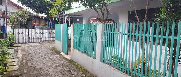 Rumah lama asli dan nyaman 1