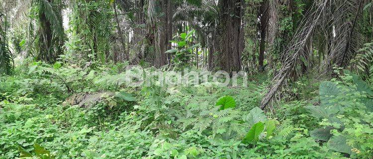 Tanah Pertapakan Dekan T Garden Pancur Batu 1