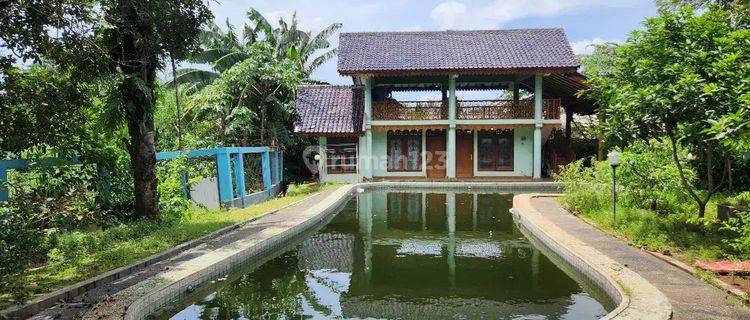 Rumah Ada Pool Area Pejaten Timur, 400 Meter Ke Jln Kemuning Raya 1