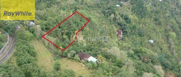 Prime 3100 sqm Land  in Lovina Hills - Sea View & Green Scenery 1