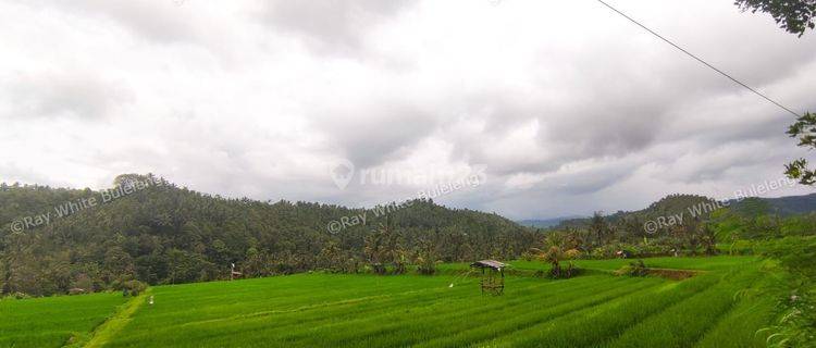 Huge Plot of Land with Great Road Access 1