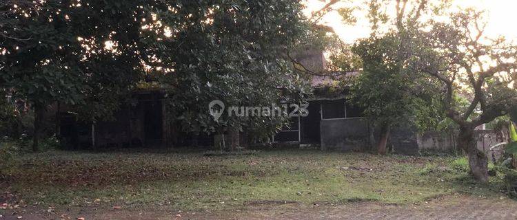 Banyak Power Disewakan Tanah di Jalan Raya Lembang Bandung Barat 1