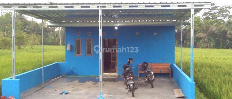 Rumah Non Perumahan Di Pedesaan Yang Asri Dengan Hamparan Sawah Yang Hijau Di Majasari Bukateja Purbalingga Lokasi Strategis 1