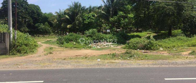 Tanah Strategis Area Pantai Dan Hotel di Sigar Penjalin Lombok 1