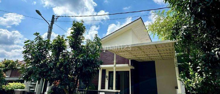 Rumah Bagus 2 Kamar di Greenland Tidar Malang 1.85M Nego 1