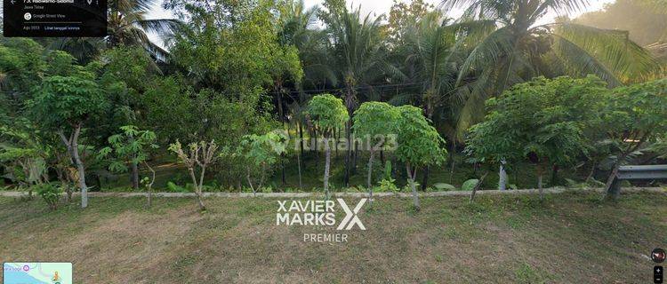 Tanah 3.544m² di Pinggir Jalan Utama Ngadirojo Pacitan 750rb Nego 1