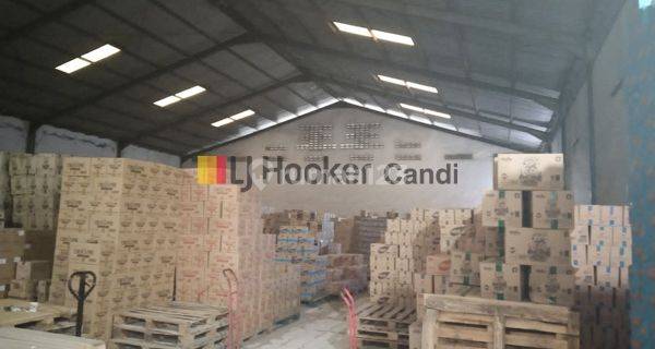 Gudang di Bandung Rejo Raya Mranggen 1