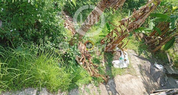 Plot in Wahidin Semarang 1