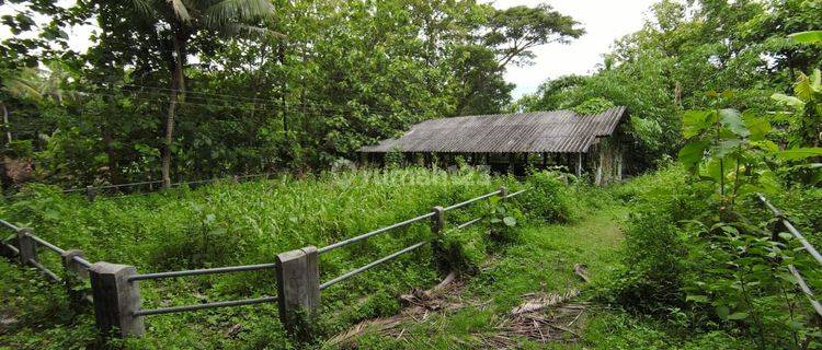 Tanah SHM Luas 1880 Meter Persegi Lokasi Sentolo Kulon Progo 1