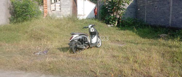 Tanah Pekarangan Luas 221 Meter Persegi Lokasi Tepus Ngawen Klaten 1