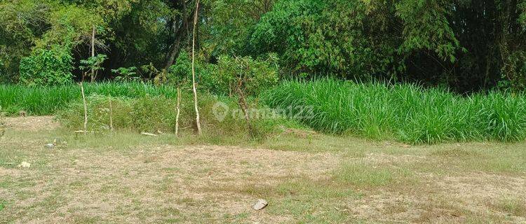 TANAH KAVLING SIAP BANGUN DEKAT ALUN-ALUN WATES KULONPROGO 1