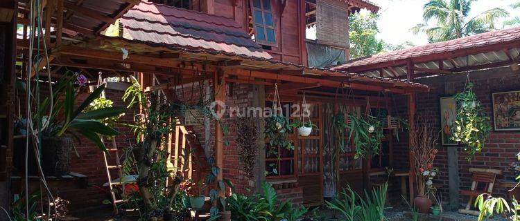 Rumah Tinggal Bonus Mobil dan Kebun Kopi Lokasi Temanggung 1