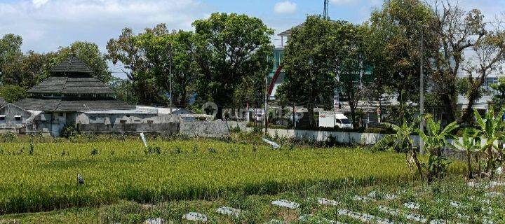 Tanah Sawah Luas 779 Meter Persegi Lokasi di Jl Raya Secang-Temanggung 1