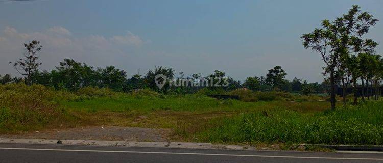 Tanah Luas 4.983 Meter Persegi Dekat Kawasan Wisata Candi Borobudur 1