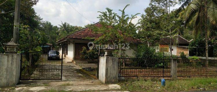 Tanah Luas Bonus Rumah 7 Kamar Lokasi Asri Dekat Geblek Pari, Banjararum, Kulonprogo 1