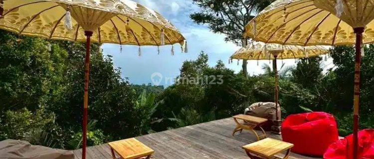 Jual Cepat Ruang Usaha View Cantik di Buleleng Tigawasa Bali 1