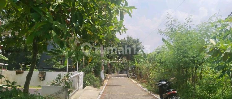 Tanah Dekat Undip Tembalang Bulusan Selatan 1