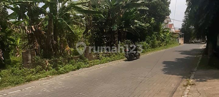 Tanah Tembalang Disewakan Dekat Undip 1