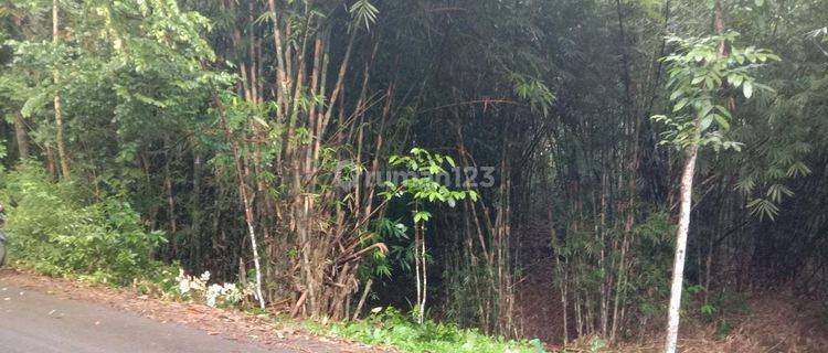 Tanah Pekarangan Area Jetis Loano Purworejo 1