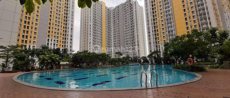 Disewa Cepat Apartemen 3 Bed Room View Pool The Springlake Summarecon Bekasi 1