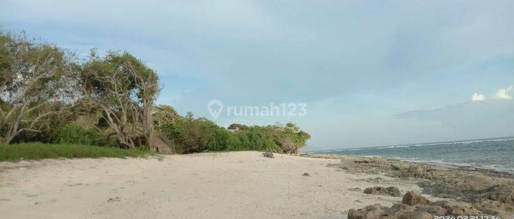 Lahan Cocok Untuk Hotel, Villa di Pantai Baliloku Sumba Nusa Tenggara Timur 1