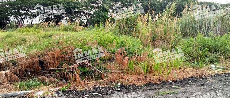 Dijual Tanah Luas Murah Shm Bumi Wonorejo Dekat Merr,stikom,iph 1