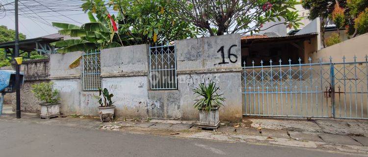 Rumah Tua di Kedoya Selatan, Hitung Tanah Saja 1